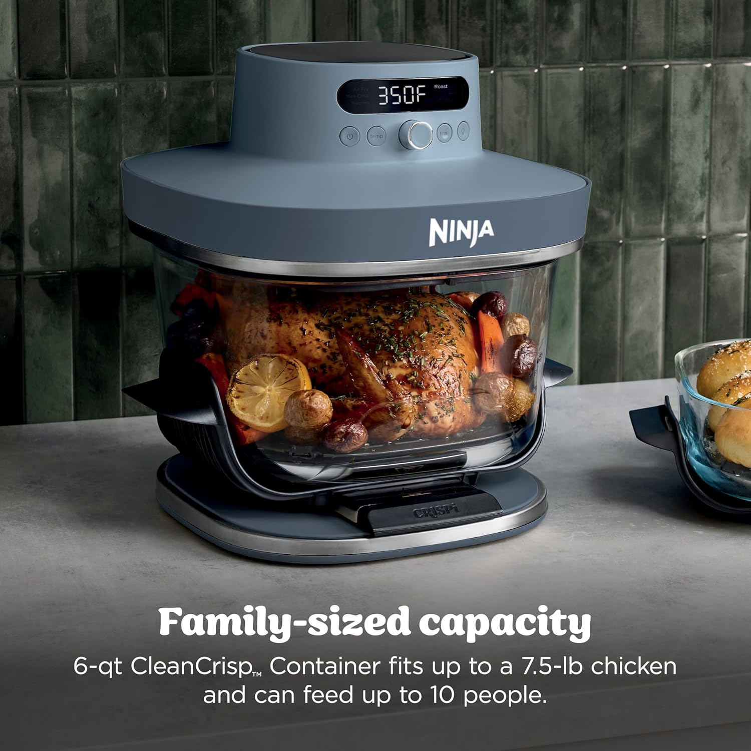 Ninja family sized capacity specifications